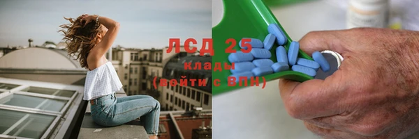 мескалин Касимов