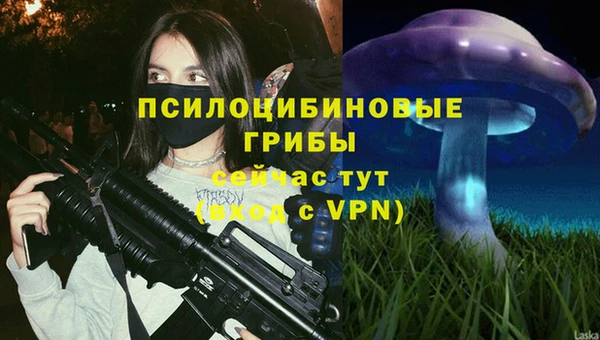 Альфа ПВП Карпинск