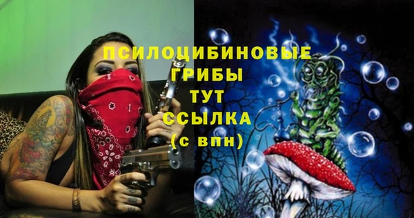 тгк Карталы