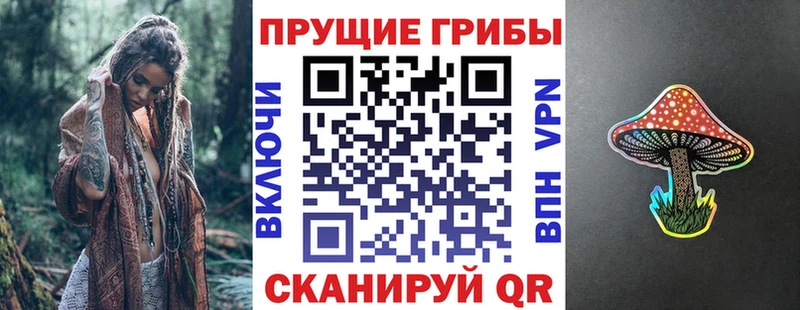 Псилоцибиновые грибы мицелий  Купить  Покров 